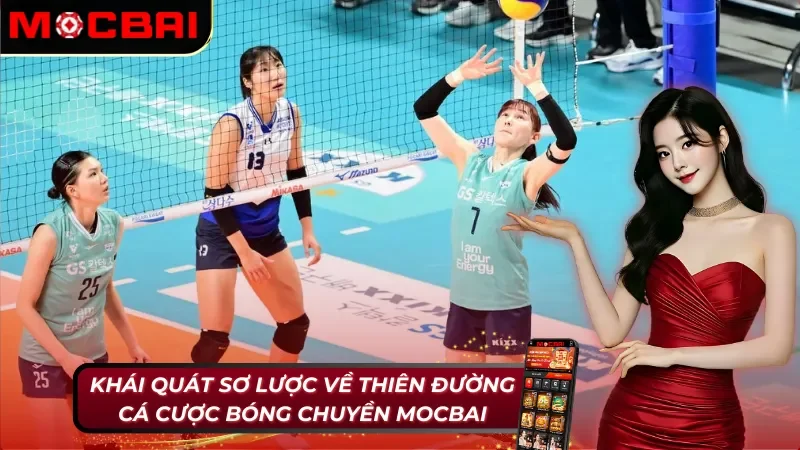 Khám phá phá thế giới bóng chuyền Mocbai