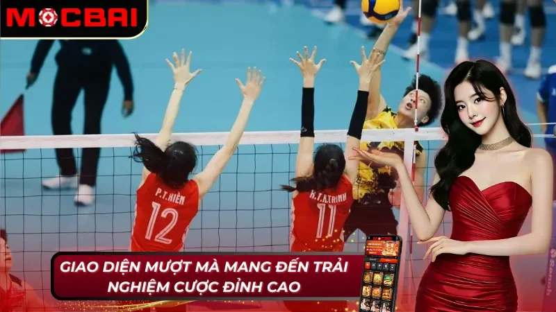 Giao diện đỉnh cao tại sảnh cược bóng chuyền Mocbai