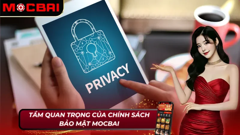 Vai trò chính sách bảo mật Mocbai 