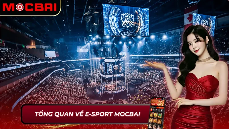 Thông tin cơ bản về E-Sport Mocbai