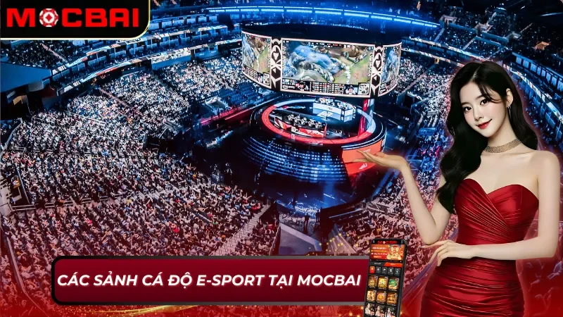 E-Sport Mocbai với những sảnh game chất lượng