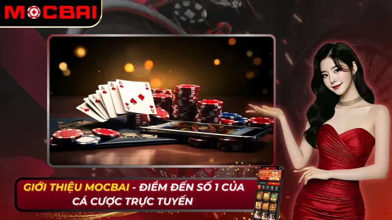 Giới Thiệu Mocbai