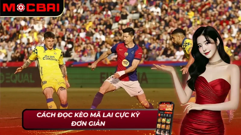 Cách đọc kèo Malaysia MocBai rất đơn giản