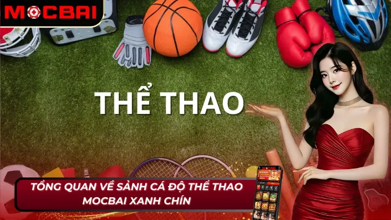 Thông tin chung về sảnh cược thể thao Mocbai